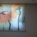 민 704 Daum카페
