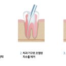 효치과의원 이미지