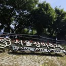 태릉입구역 일대 | 서울 장미축제 후기 추천 - 2026 제18회 중랑 서울장미축제 일정 총정리 (위치·꿀팁)