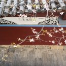 샹그리라 이미지