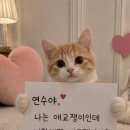 일로앙