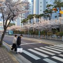 팀매드 명지 이미지