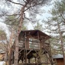 아이랑 고성 겨울여행✨ 주성리조트 가족 숙박 후기