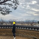 쁘띠365의원 | [내돈내산] 원쎄라 2회차 후기