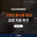 24시잠실ON동물의료센터 이미지