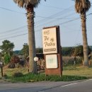 445 The Palms 이미지