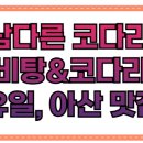 정통갈비탕육개장 | 남다른 코다리 갈비탕&amp;코다리찜 유일, 아산 맛집에서 건강한 한 끼를!