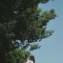 자연의 기억 이미지