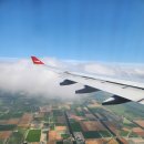 참조은농장 | 여름삿포로