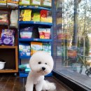 트리밍아유 이미지