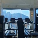 어뮤즈핏 이미지