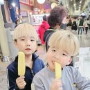 FROM 논개 | 시장 구경 아이들과 함께 배터지게 먹고 즐겼던 10월의 진주 올빰야시장
