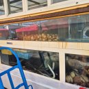 수민이네 이미지