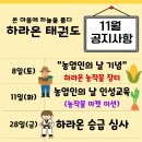 하라온태권도 이미지