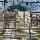 반석농장 이미지