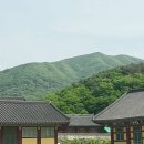 밀양 표충사 전경 이미지