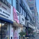 버만캣패밀리 이미지