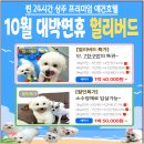 도그유토피아 살롱 이미지