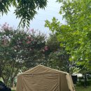 고릴라 소프트 | [일상] 캠린이 가족캠핑 도전_용품 구매! 고릴라캠핑 대전동구점