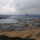 신산포구수산자연산횟집