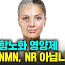 NMN 먹지 마세요! 대신 이것을 드세요~ 항노화 성분이지만 암 위험은 없다. 효능과 안전성이 더욱 검증된 이것은? 이미지