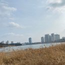 바라보다커피 이미지