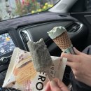 큰나무유통 이미지