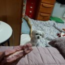 GS25 안산제일 이미지