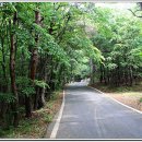 문화새길 이미지