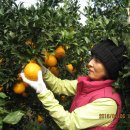 성균농장 이미지