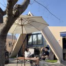 스테이 세인트21캠프 | 봄글램핑 : 캠프스테이 청도🏕️🌿