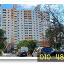 하단동1003 이미지