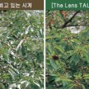 눈 밝은 안경원 이미지