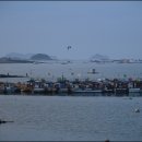 삼길포항 Daum카페