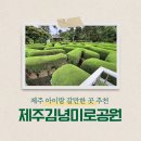 제주 아이랑 가볼만한 곳 추천 🌳김녕미로공원