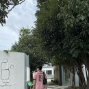 풀베개 제주 안덕면 카페 감성가득 애견동반 <b>풀</b><b>베개</b>