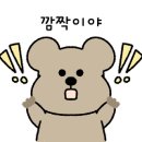 시장사거리분식