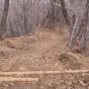 수원-1111 이미지