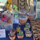 다온팜스 이미지