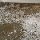 금호어울림크리닝 이미지