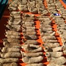 희동이네 이미지