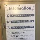 카페스토리 네이버블로그