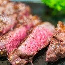 고기처럼 이미지