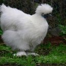 봉황한의원 이미지