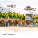 고양어린이박물관 이미지