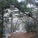 승달산길 이미지