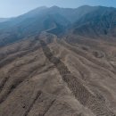 Pacific BUBBLES 이미지