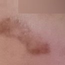 보니따의원 이미지