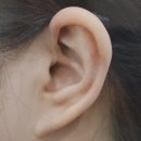 벨톤보청기 제주센터 이미지