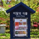 삼선산수목원 벚나무 이미지